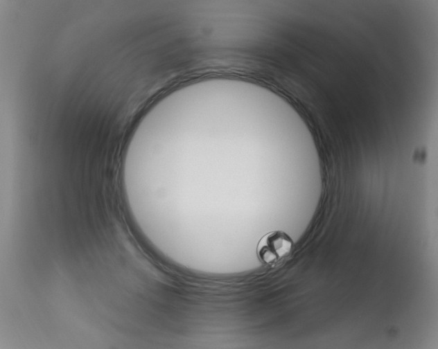 X0000112460456200908171020