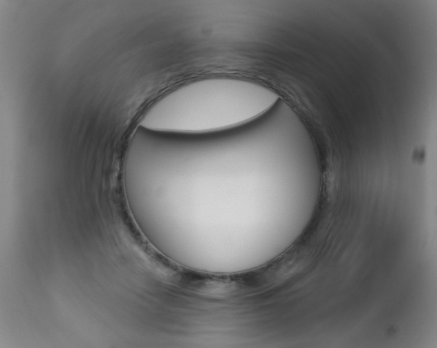 X0000112460458200908171020