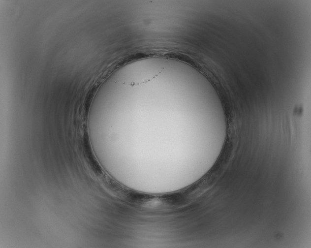 X0000112460460200908171020