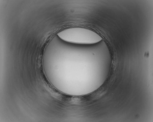 X0000112460462200908171020
