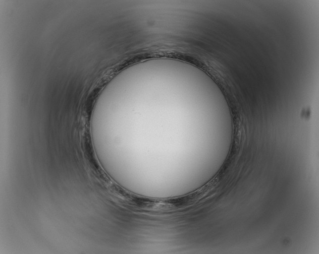 X0000112460463200908171020