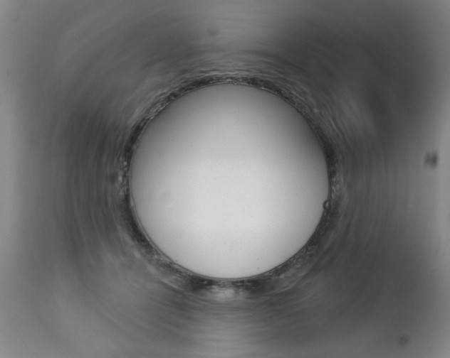 X0000112460464200908171020