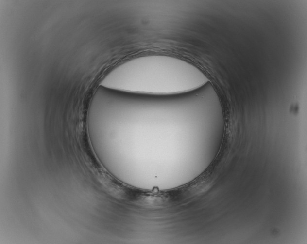 X0000112460466200908171020
