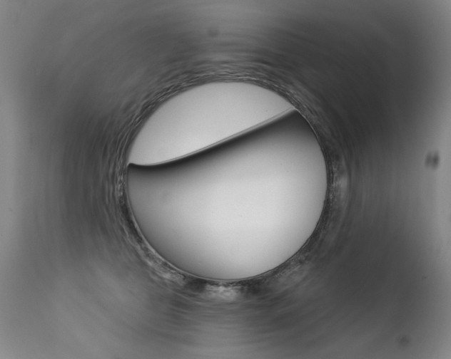 X0000112460469200908171020