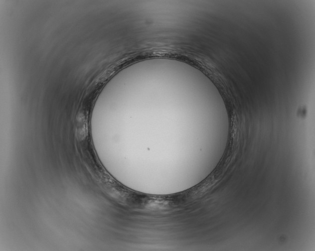 X0000112460471200908171020