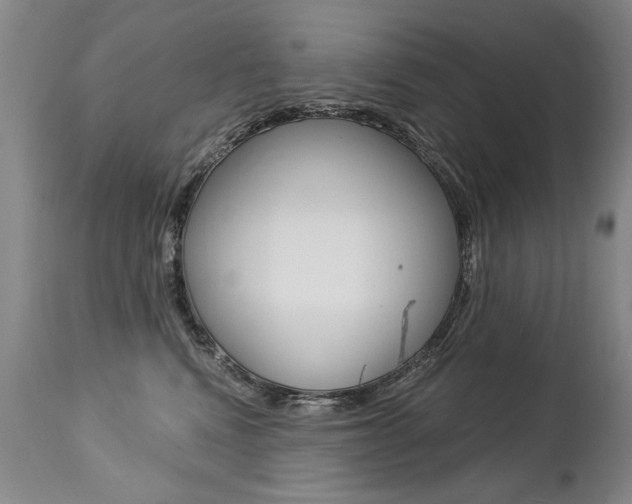 X0000112460472200908171020