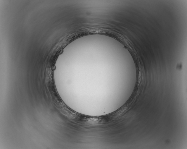 X0000112460473200908171020