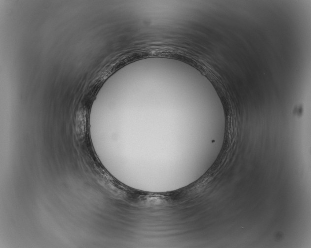 X0000112460475200908171020