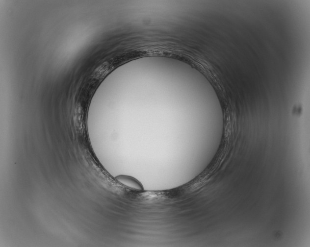 X0000112460477200908171020