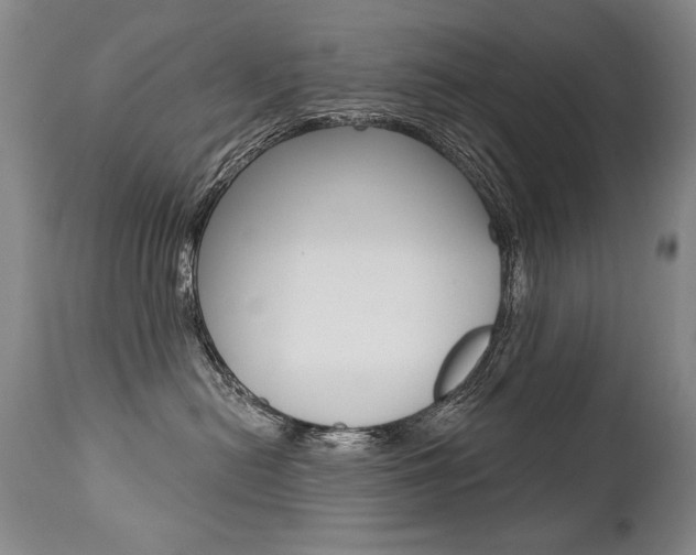 X0000112460478200908171020