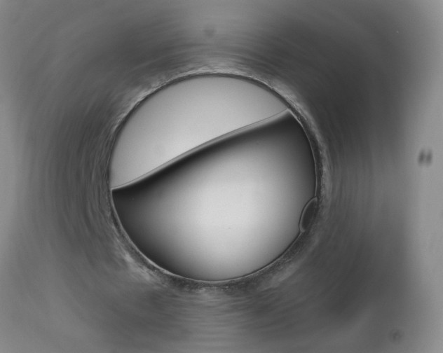 X0000112460481200908171020