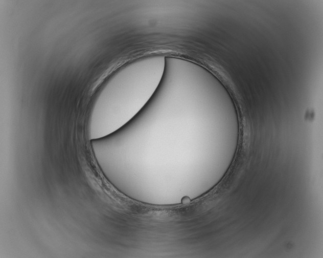X0000112460482200908171020