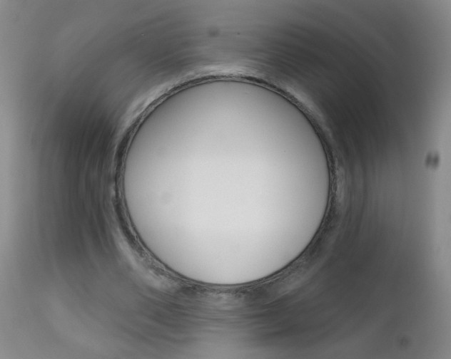 X0000112460486200908171020