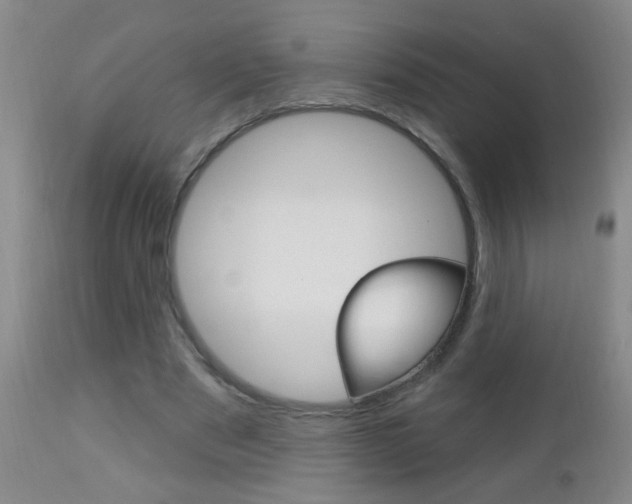 X0000112460489200908171019