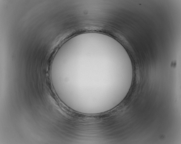 X0000112460490200908171019