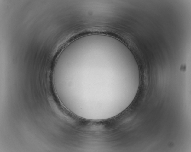 X0000112460491200908171019