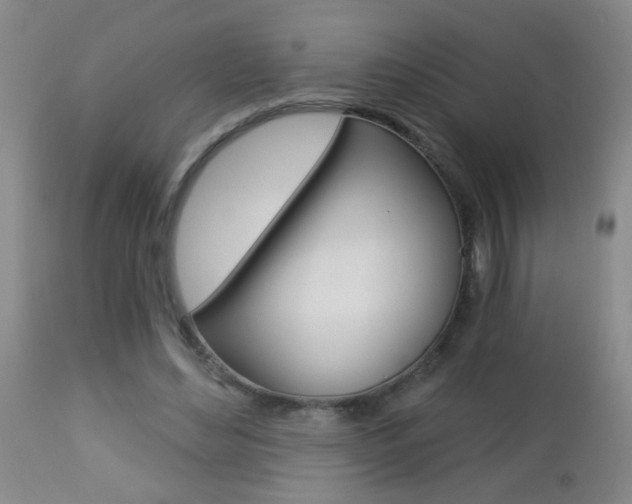 X0000112460492200908171019