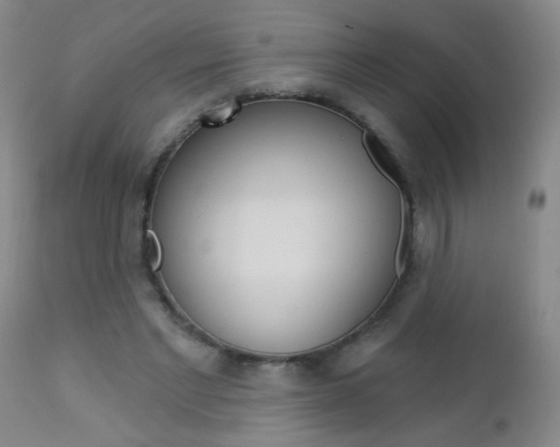X0000112460493200908171019