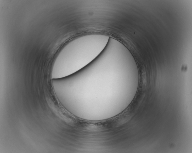 X0000112460494200908171019