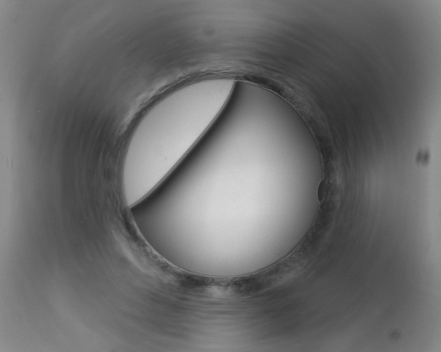X0000112460496200908171019