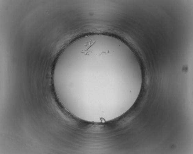 X0000112460497200908171019