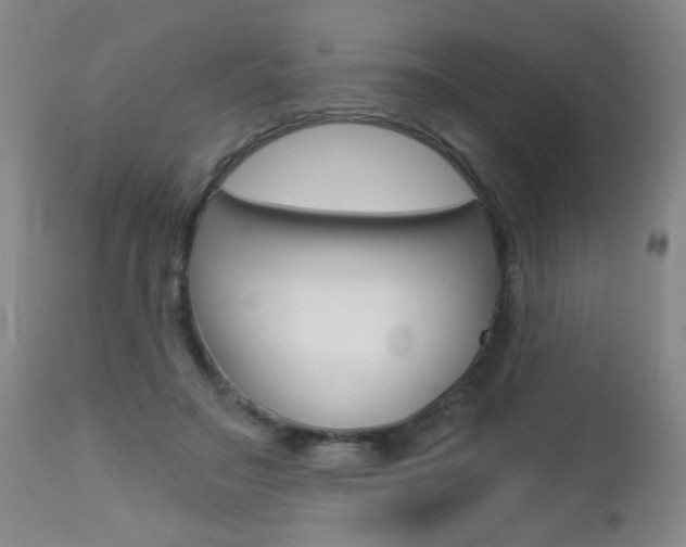 X0000112460499200908171019