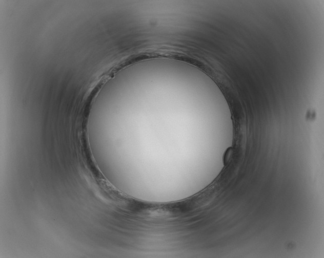 X0000112460500200908171019