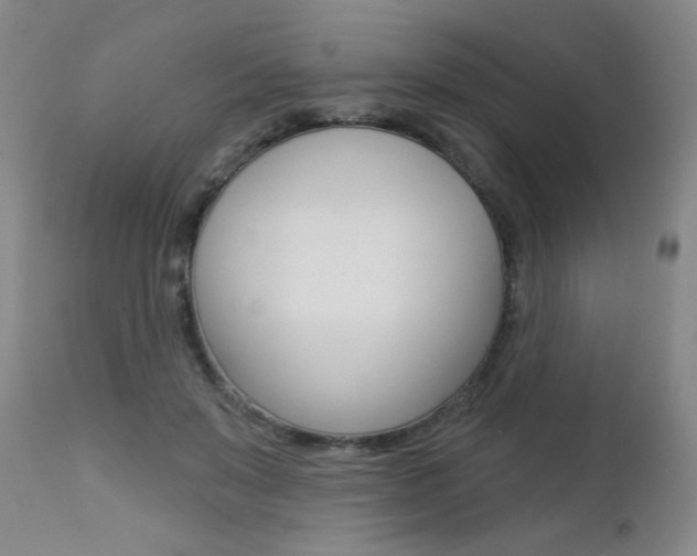 X0000112460503200908171019