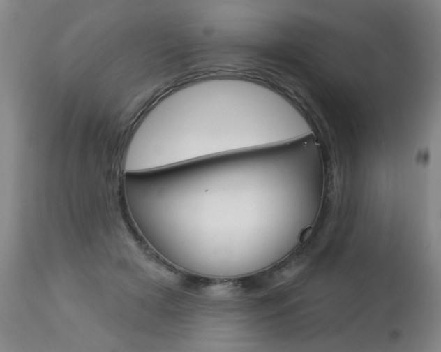 X0000112460505200908171019