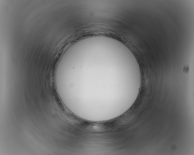 X0000112460506200908171019