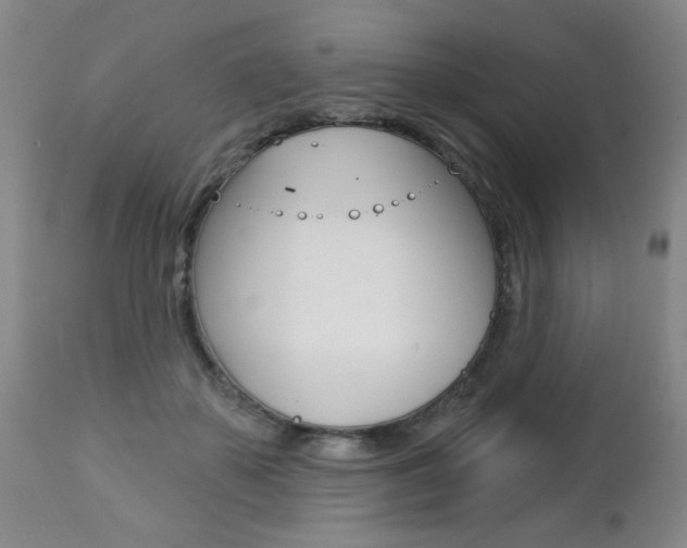 X0000112460507200908171019