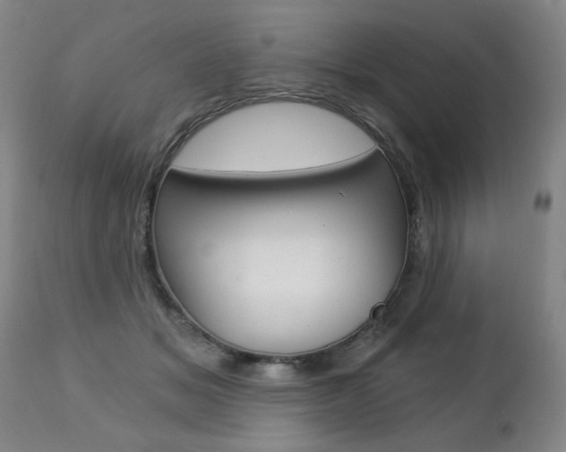X0000112460509200908171019