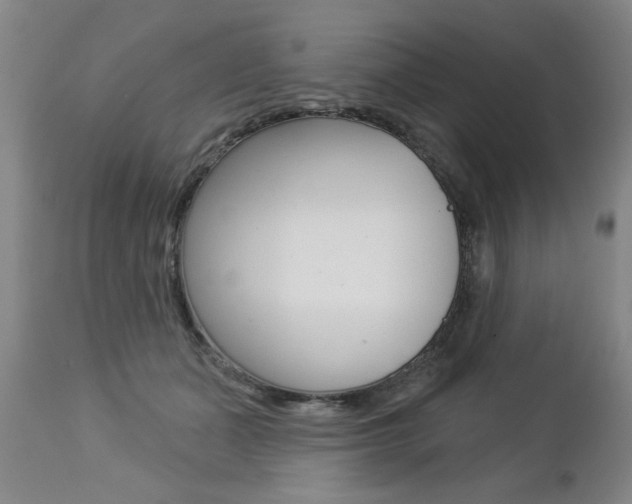X0000112460511200908171019
