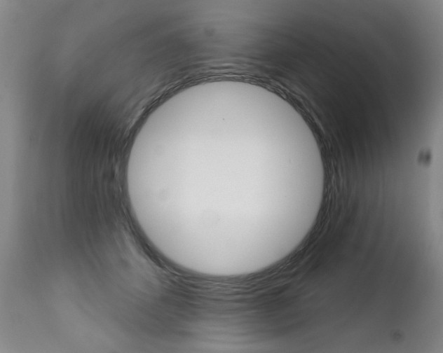 X0000112460512200908171019