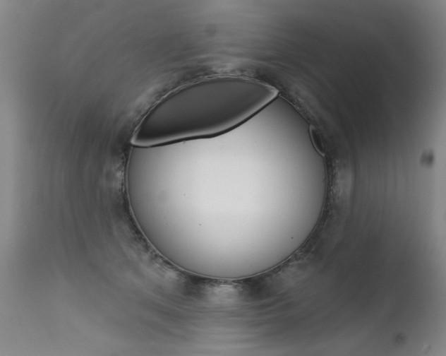 X0000112460513200908171019
