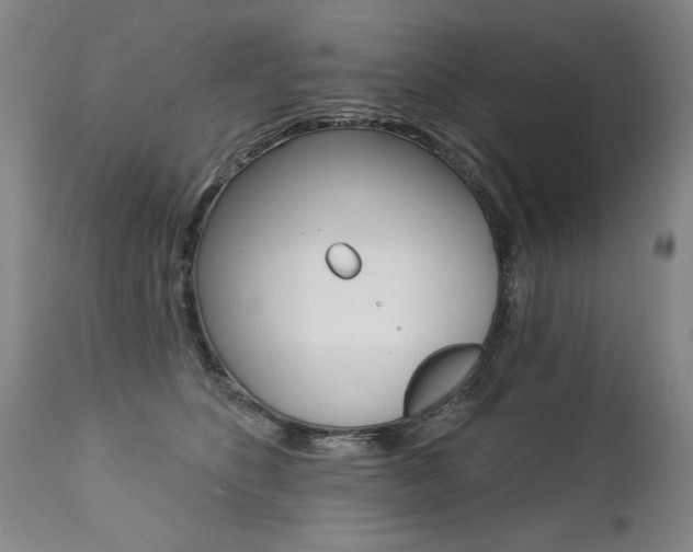 X0000112460516200908171019