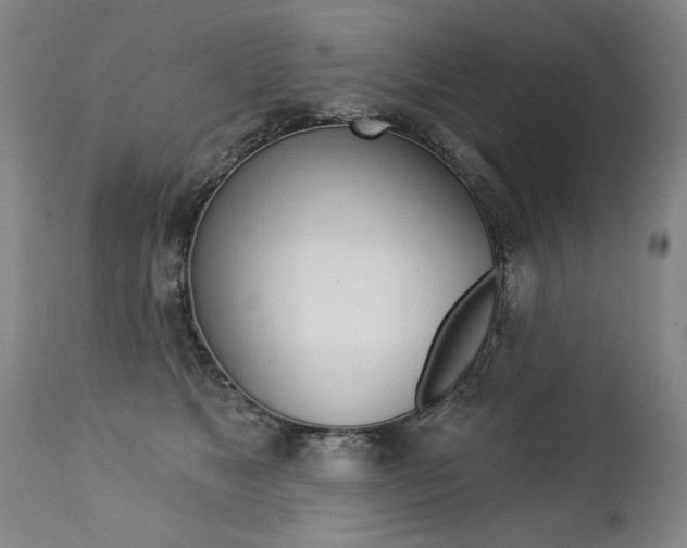 X0000112460517200908171019