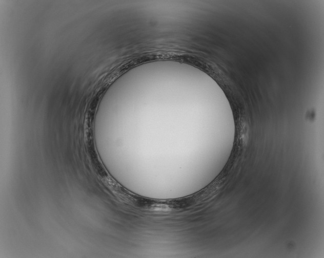 X0000112460519200908171019