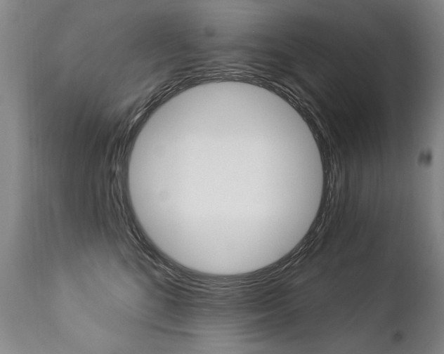 X0000112460520200908171019