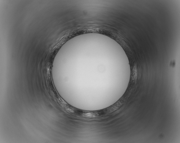 X0000112460522200908171019