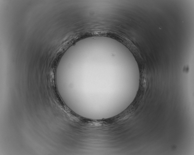 X0000112460523200908171019