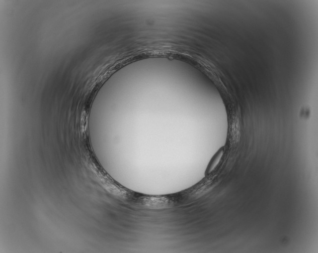 X0000112460525200908171019