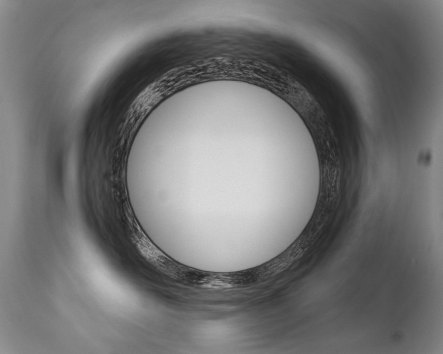 X0000112460526200908171019