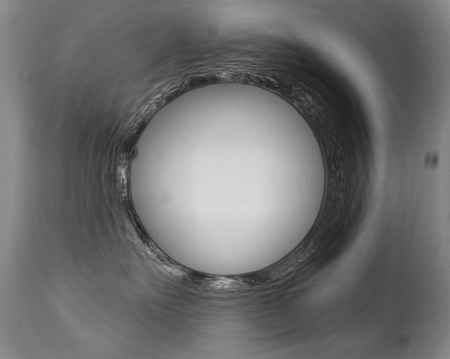 X0000112460527200908171019