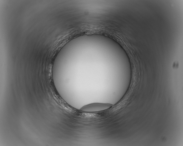 X0000112460528200908171019