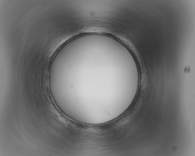 X0000112460529200908171018