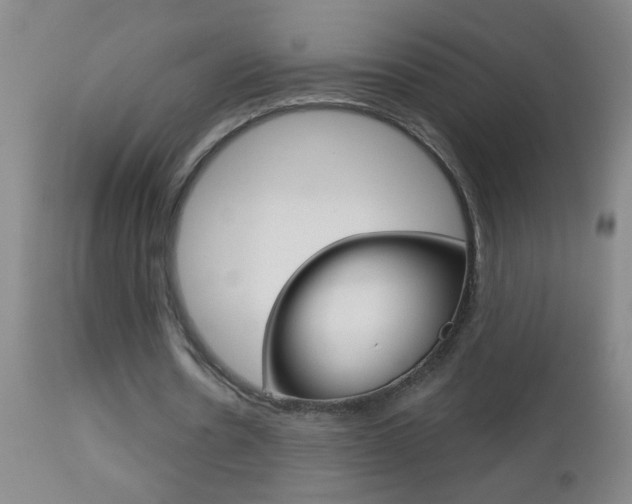 X0000112460530200908171018