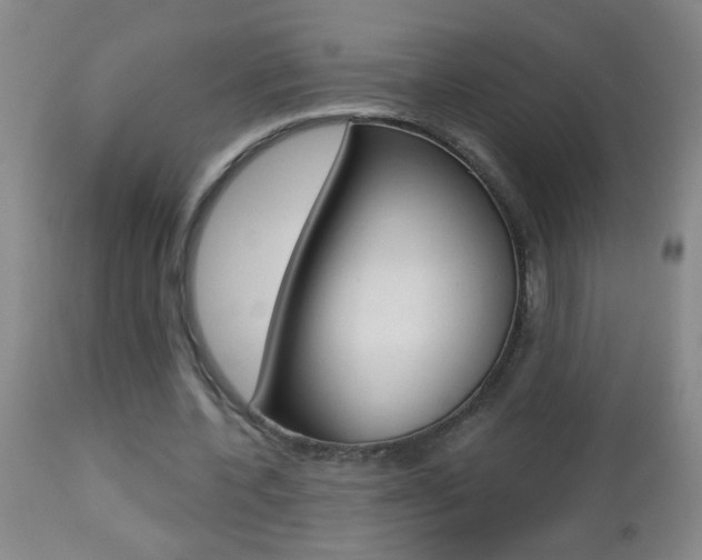 X0000112460532200908171018
