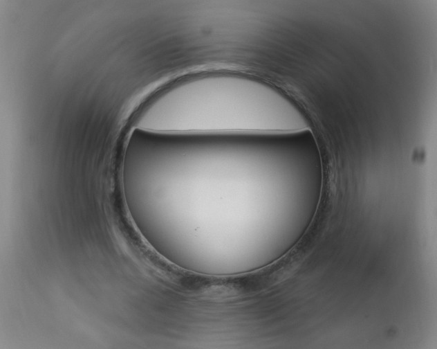 X0000112460536200908171018