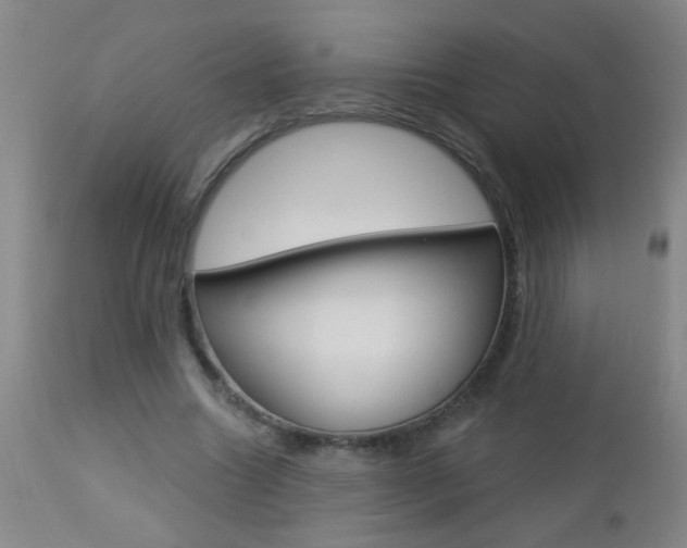 X0000112460538200908171018
